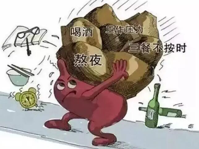 春季养生“肝”为先 需戒怒、少熬夜、少喝酒、多运动,养成良好(图2) 春季养生“肝”为先 需戒怒、少熬夜、少喝酒、多运动,养成良好(图2)