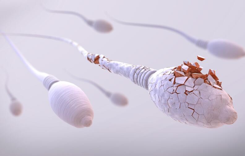 长期熬夜对男性的危害(图2) 长期熬夜对男性的危害(图2)