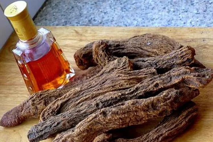 锁阳泡酒好几年不管用了吗(图1) 锁阳泡酒好几年不管用了吗(图1)