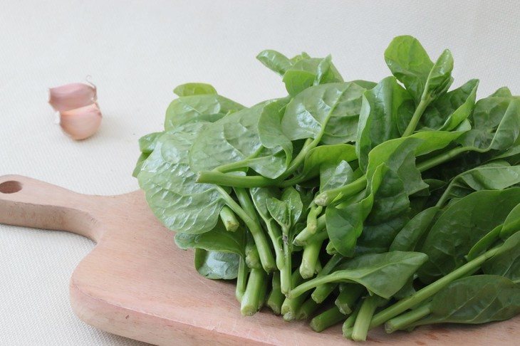 木耳菜的作用与功效(图2) 木耳菜的作用与功效(图2)