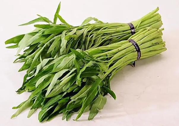 多吃蔬菜 因体质有宜忌(图2) 多吃蔬菜 因体质有宜忌(图2)